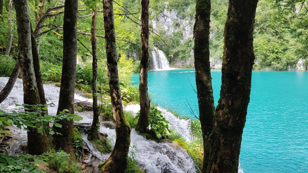 B&B Plitvica Villa Prica Plitvička Jezera Exterior foto